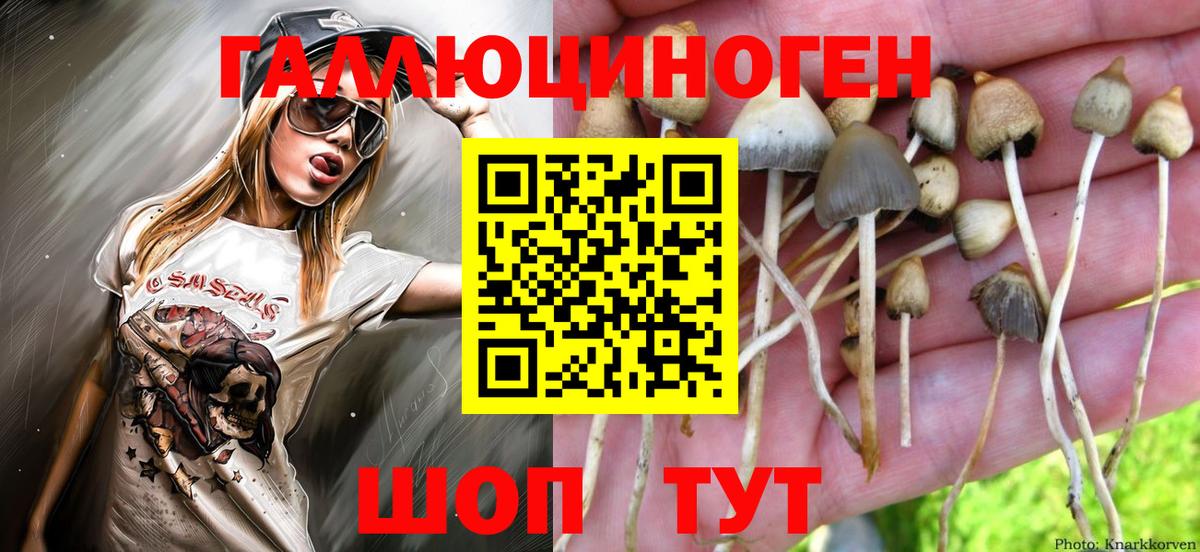 Псилоцибиновые грибы Psilocybe  Вход с VPN  Галлюциногенные грибы Psilocybe  Заинск 